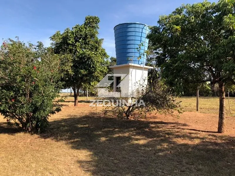 Sítio, 3 quartos, 5500 m² - Foto 7