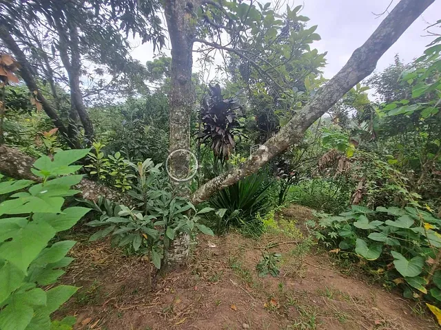 Chácara 1 quarto e 1 banheiro, à venda, no bairro Recreio Sertãozinho em Suzano