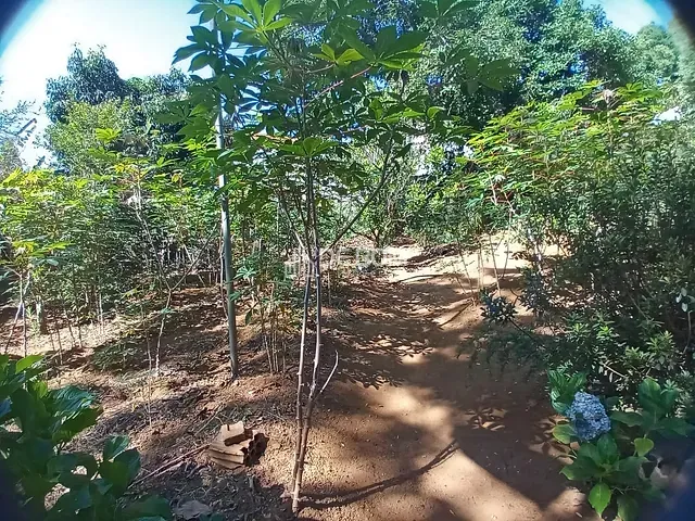 Chácara com 2600m² 7 quartos e 3 banheiros, à venda, no bairro Bortolan em Poços de Caldas