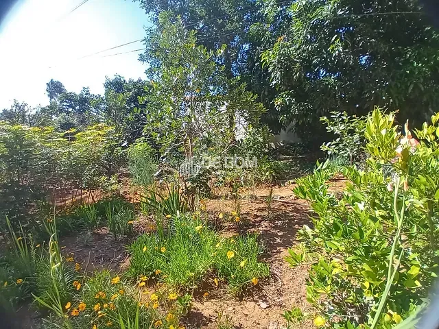 Chácara com 2600m² 7 quartos e 3 banheiros, à venda, no bairro Bortolan em Poços de Caldas