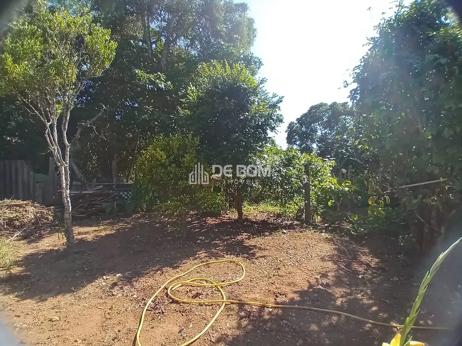 Chácara, 7 quartos, 2600 m² - Foto 10