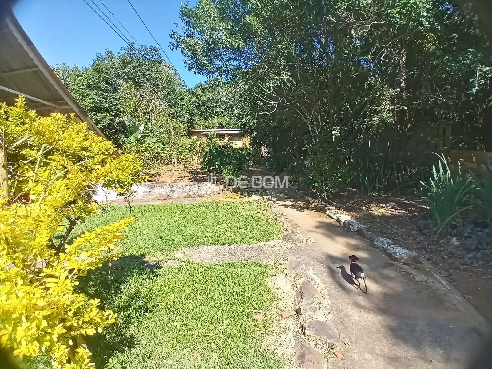 Chácara, 7 quartos, 2600 m² - Foto 9