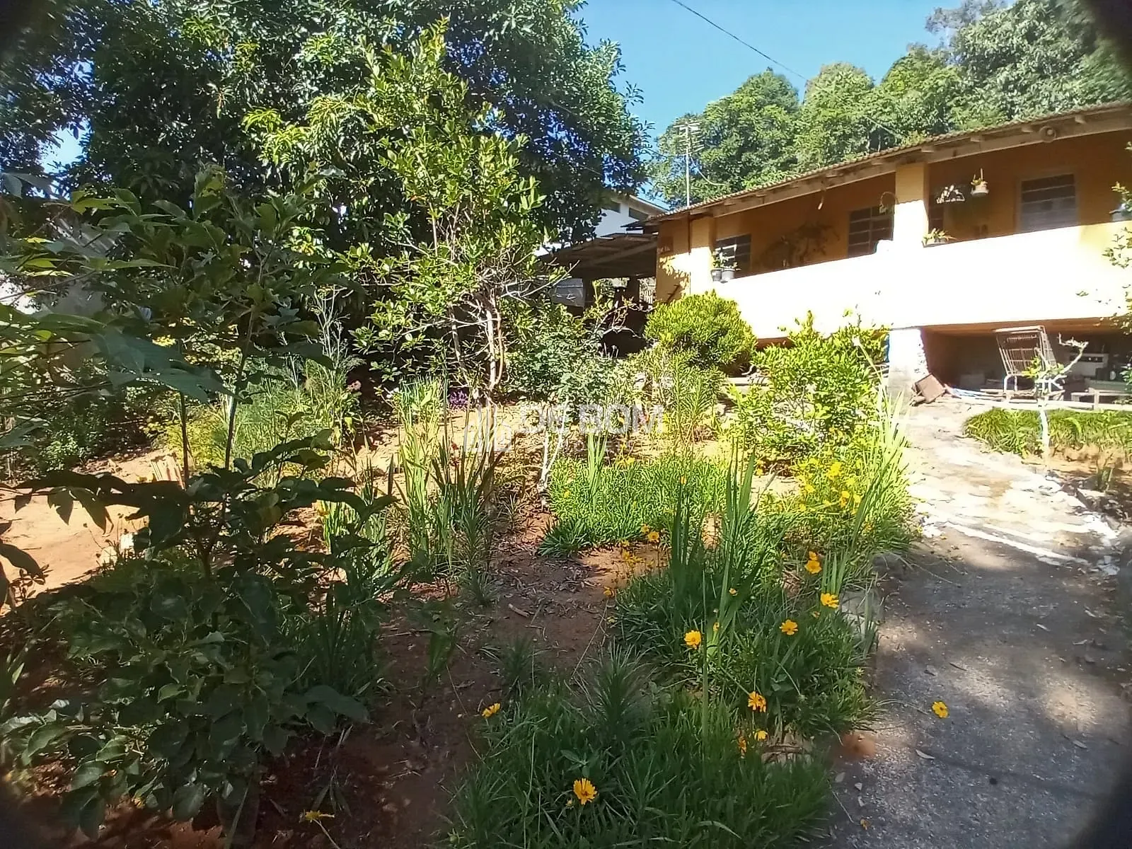 Chácara, 7 quartos, 2600 m² - Foto 4