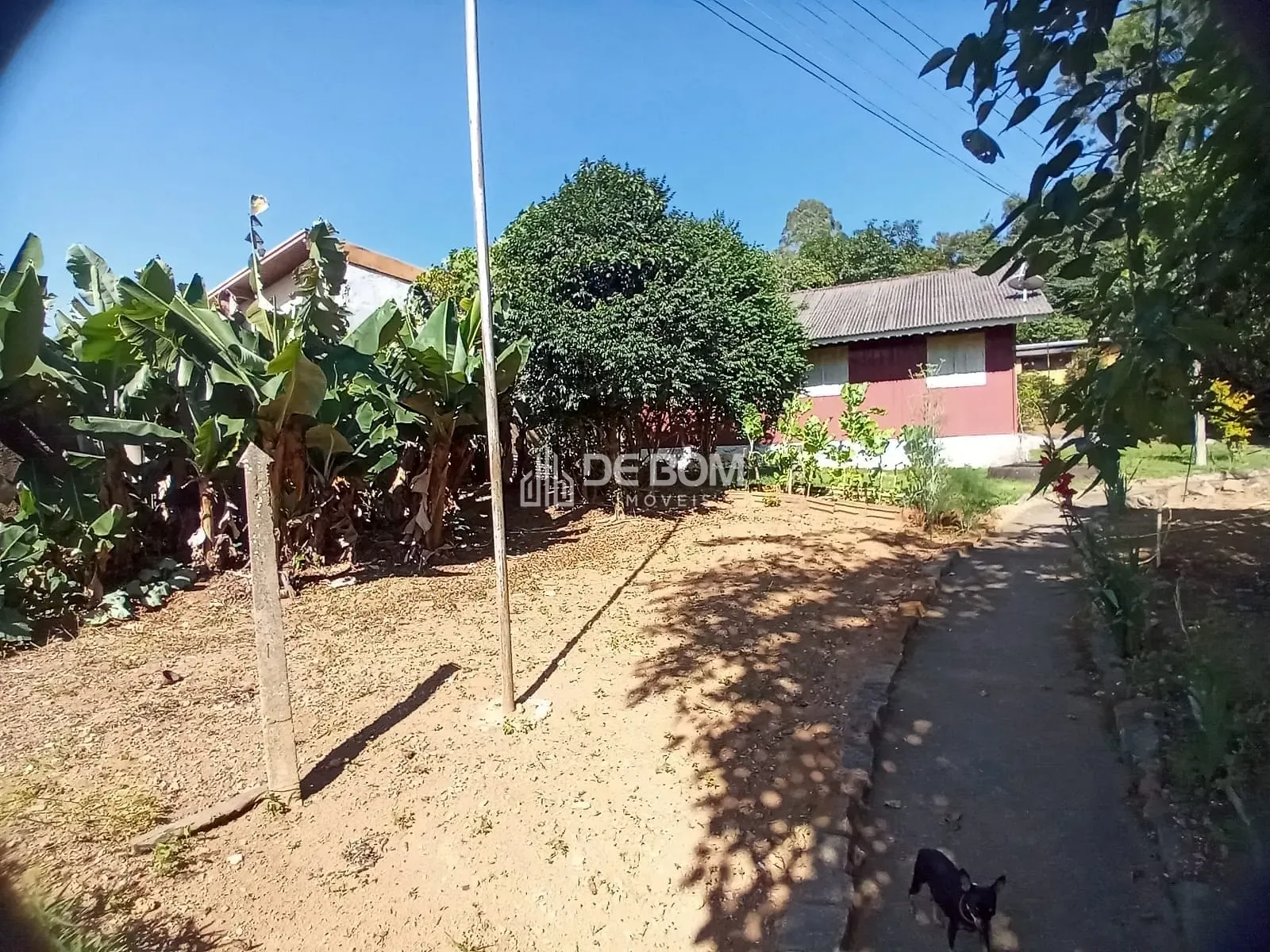 Chácara, 7 quartos, 2600 m² - Foto 12