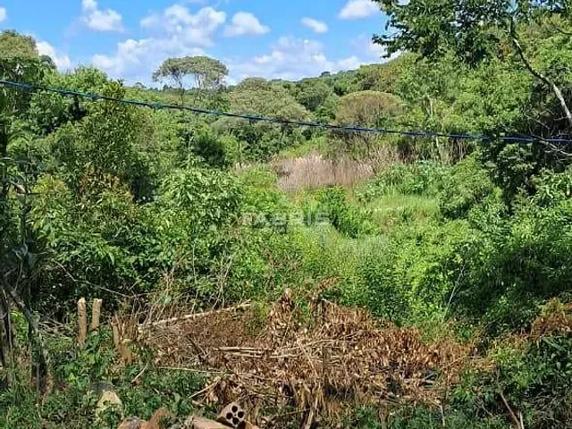 Chácara com 25732m² 2 quartos e 1 banheiro, à venda, no bairro SÃO LUIS DO PURUNÃ em Balsa Nova