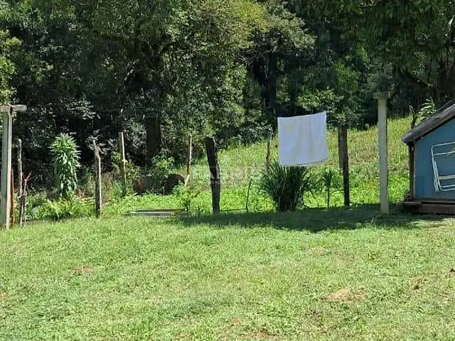 Chácara com 25732m² 2 quartos e 1 banheiro, à venda, no bairro SÃO LUIS DO PURUNÃ em Balsa Nova