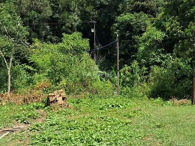 Chácara com 25732m² 2 quartos e 1 banheiro, à venda, no bairro SÃO LUIS DO PURUNÃ em Balsa Nova