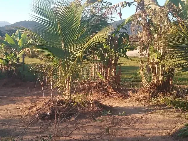Chácara com 1200m² 1 quarto e 1 banheiro, à venda, no bairro Citrolândia em Guapimirim
