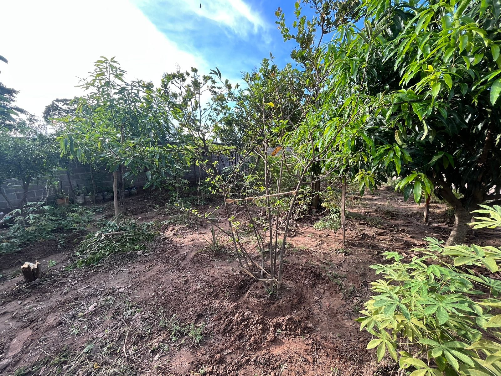 Chácara à venda com 1 quarto, 120m² - Foto 23