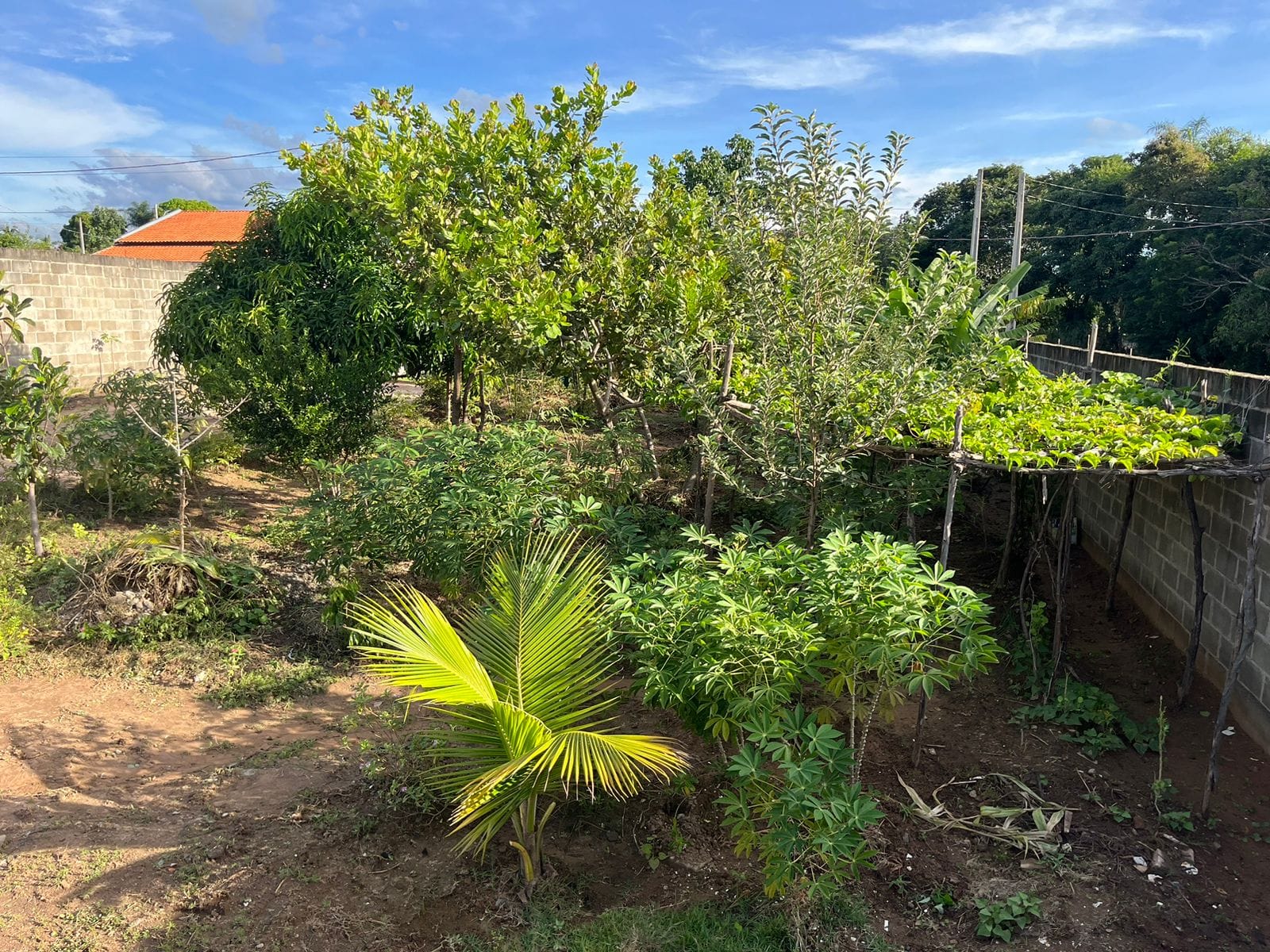 Chácara à venda com 1 quarto, 120m² - Foto 18