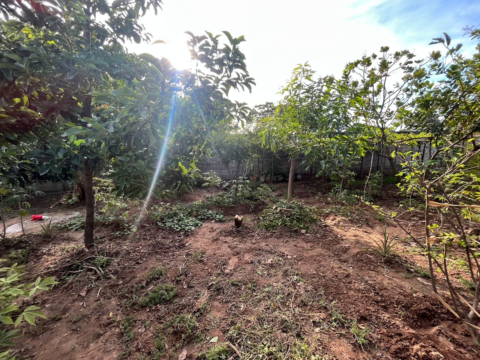 Chácara à venda com 1 quarto, 120m² - Foto 22