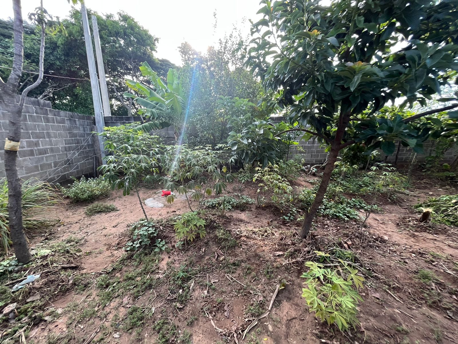 Chácara à venda com 1 quarto, 120m² - Foto 20