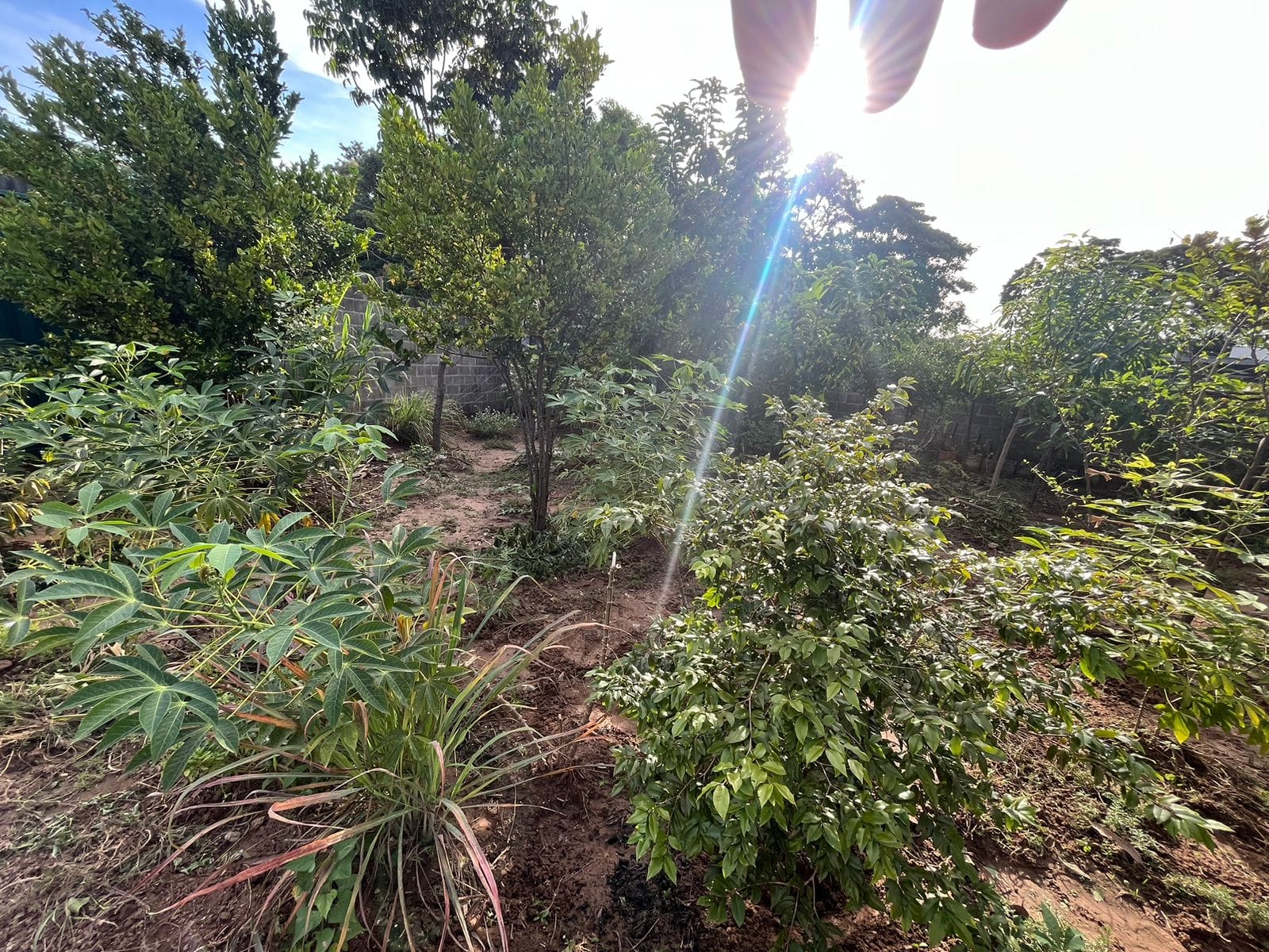 Chácara à venda com 1 quarto, 120m² - Foto 25