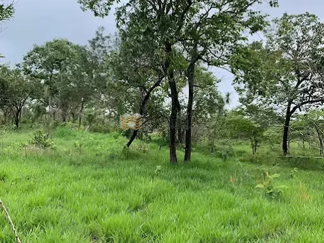 Terreno com 2000m², à venda, no bairro Mato Dentro em Francisco Morato
