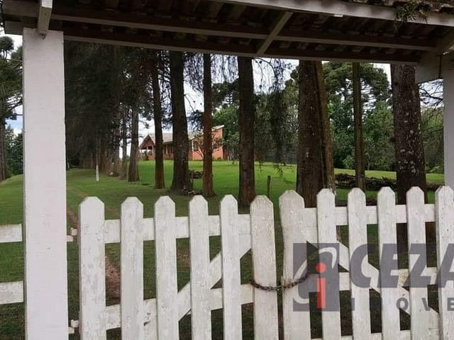 Sítio 6 quartos e 2 banheiros, à venda, no bairro Rio do Cacho em Contenda