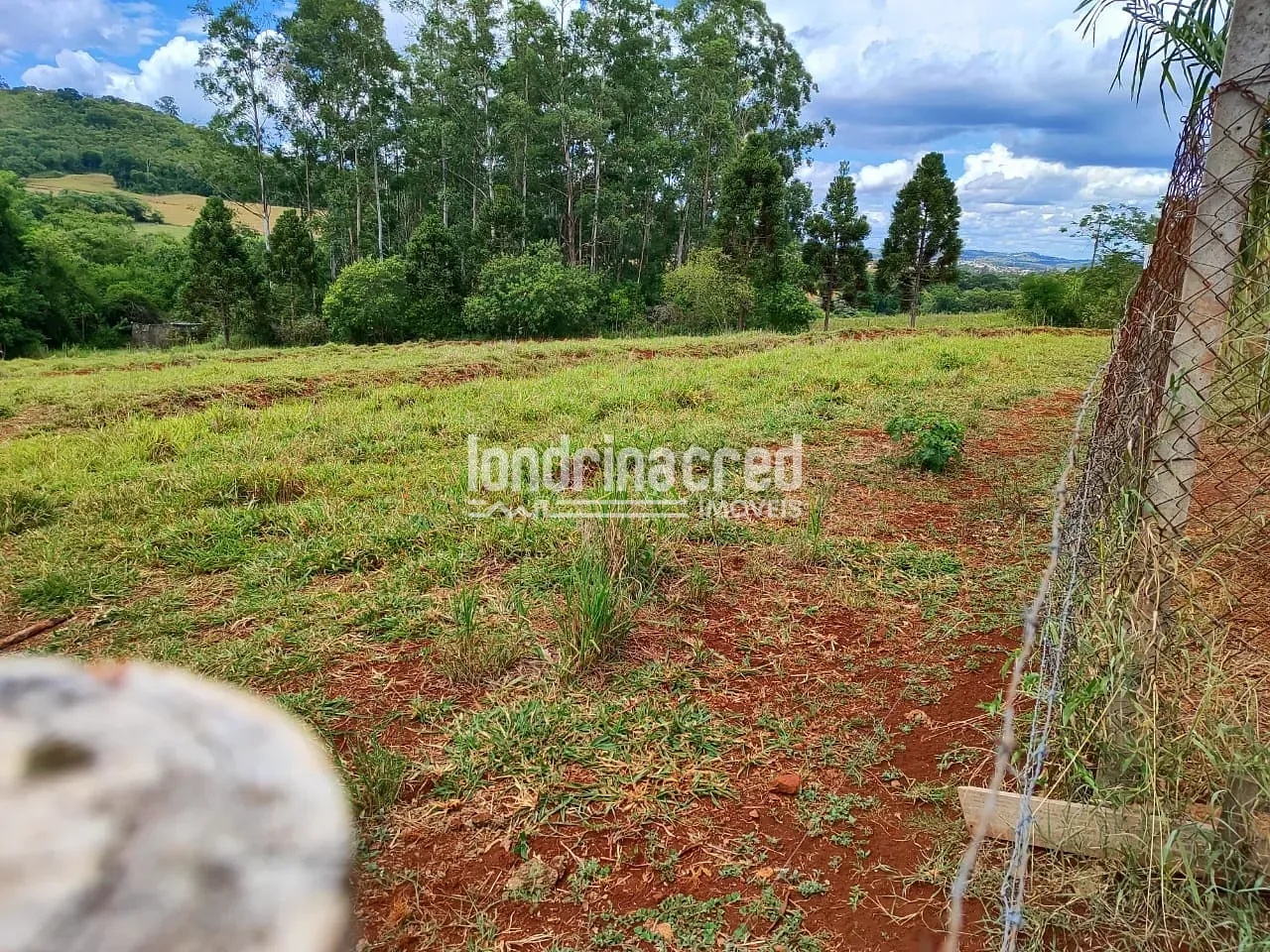 Sítio, 1 quarto, 1000 m² - Foto 3