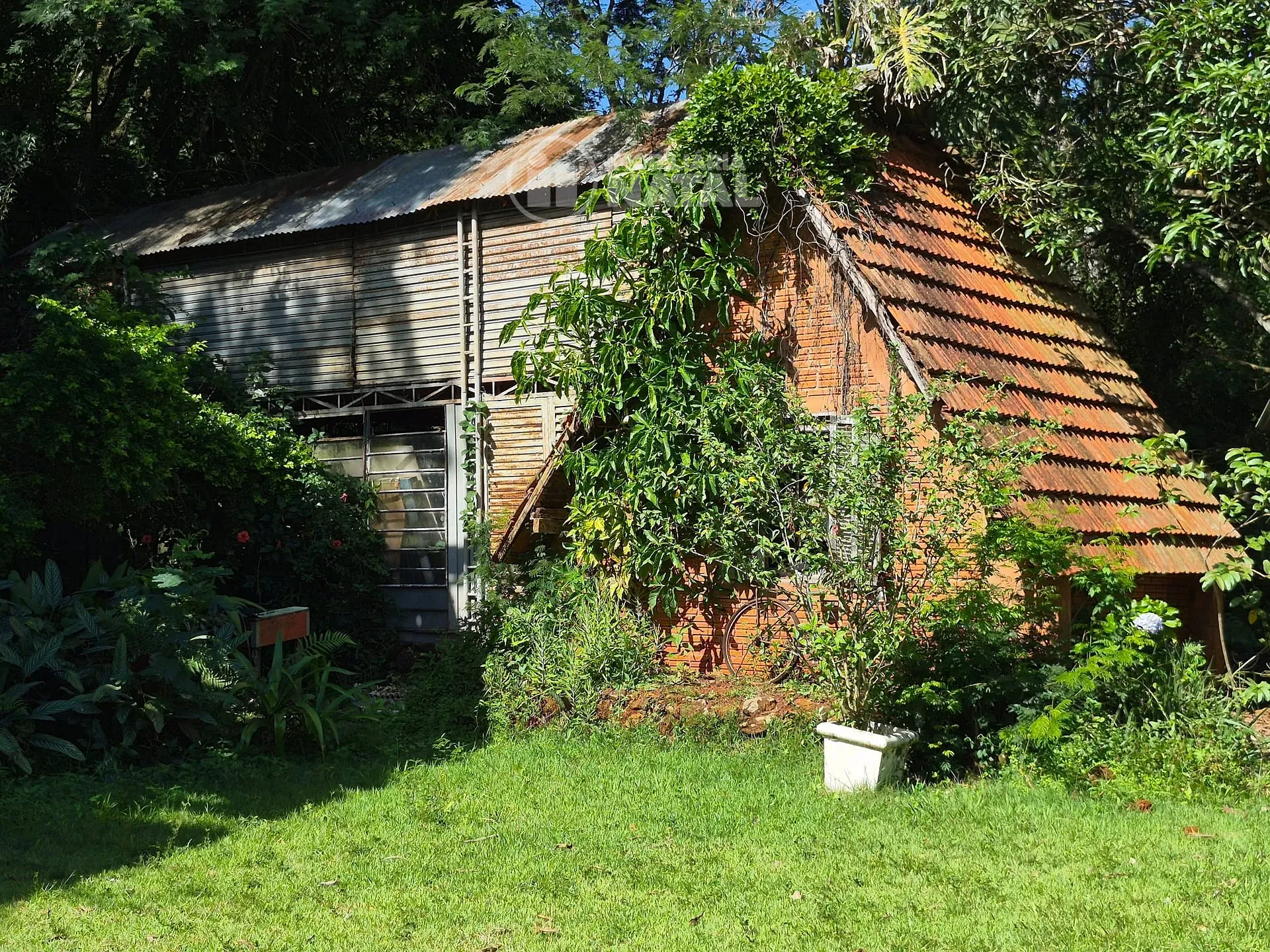 Sítio, 3 quartos, 2 hectares - Foto 36