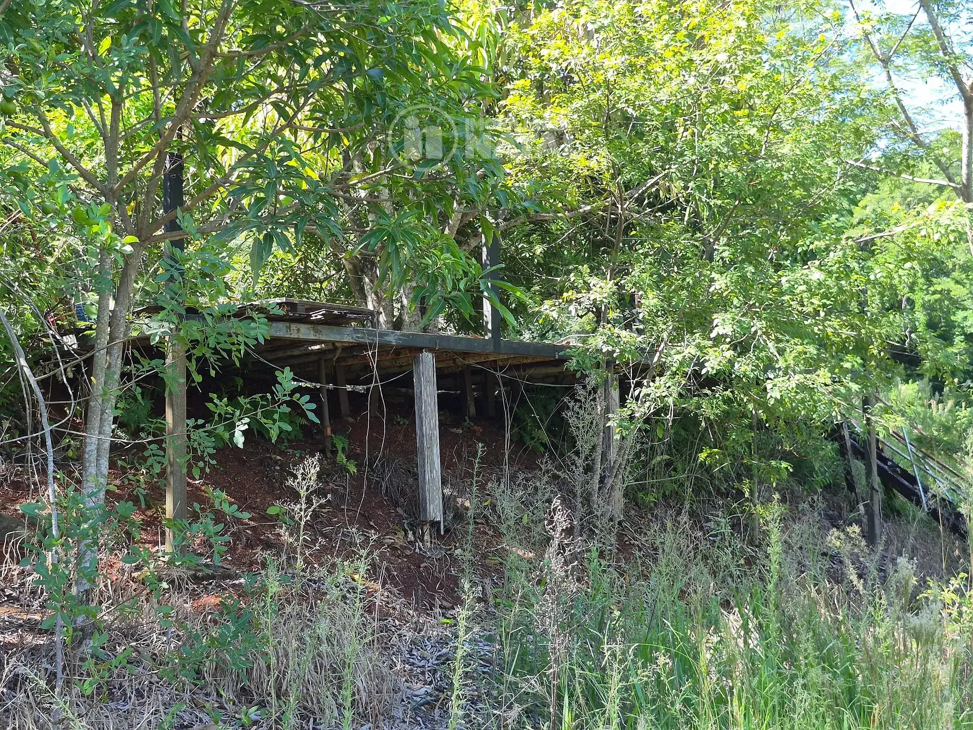 Sítio, 3 quartos, 2 hectares - Foto 38