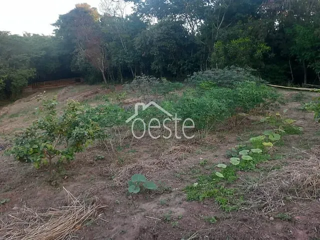 Chácara com 1710m² 1 quarto e 1 banheiro, à venda, no bairro Residencial Furlan em Santa Bárbara D'Oeste