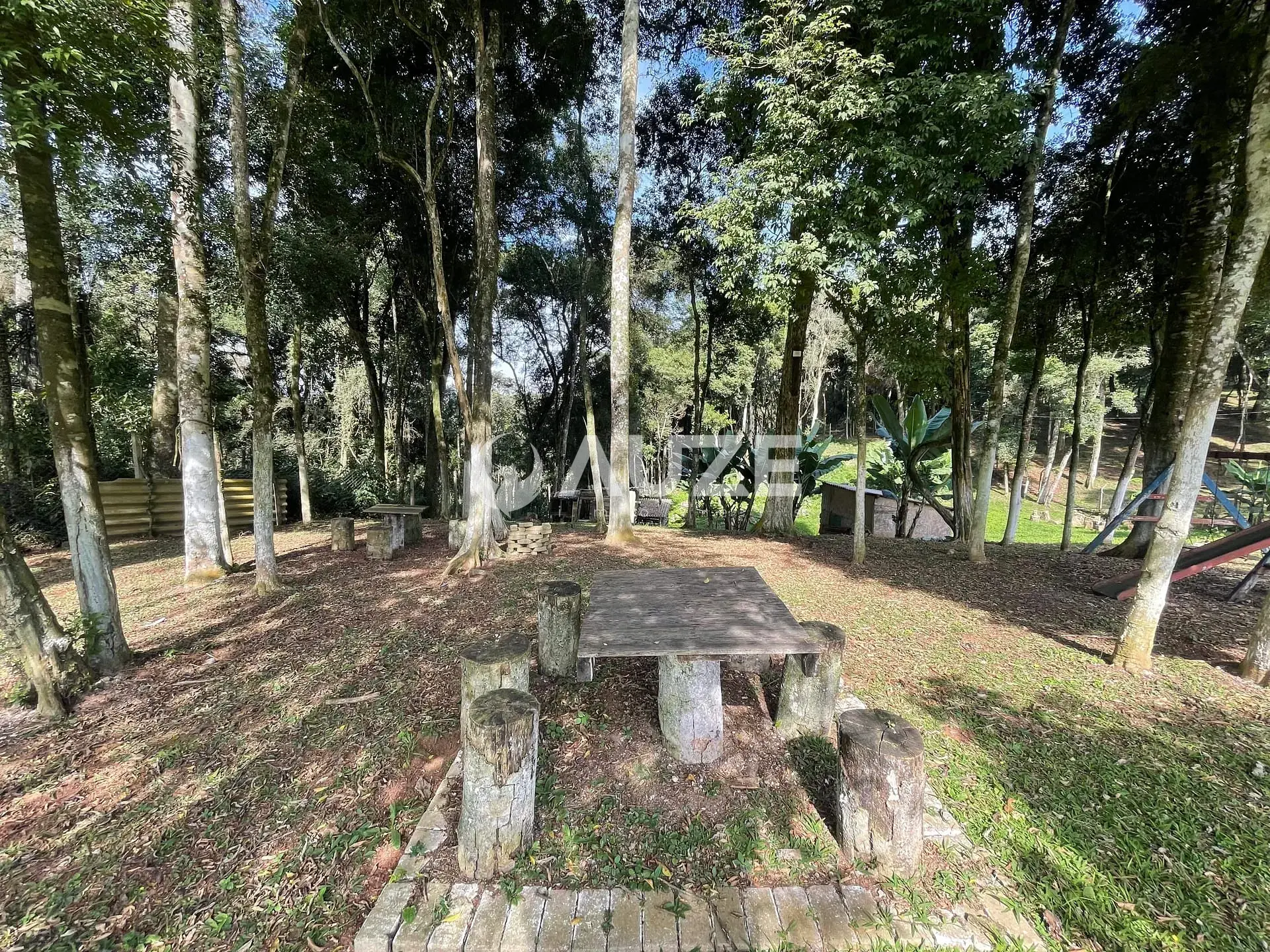Chácara, 3 quartos, 4453 m² - Foto 4