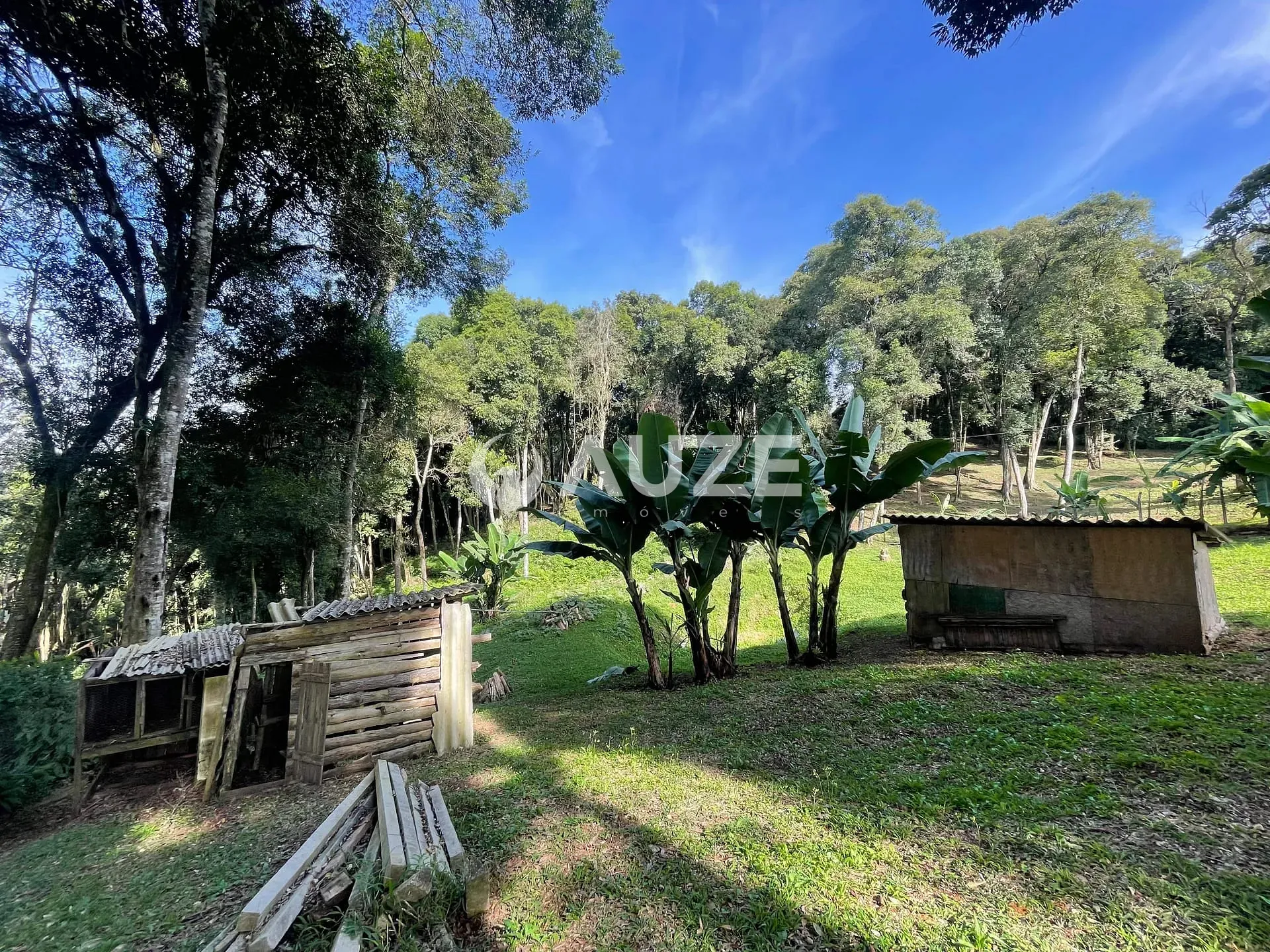 Chácara, 3 quartos, 4453 m² - Foto 6