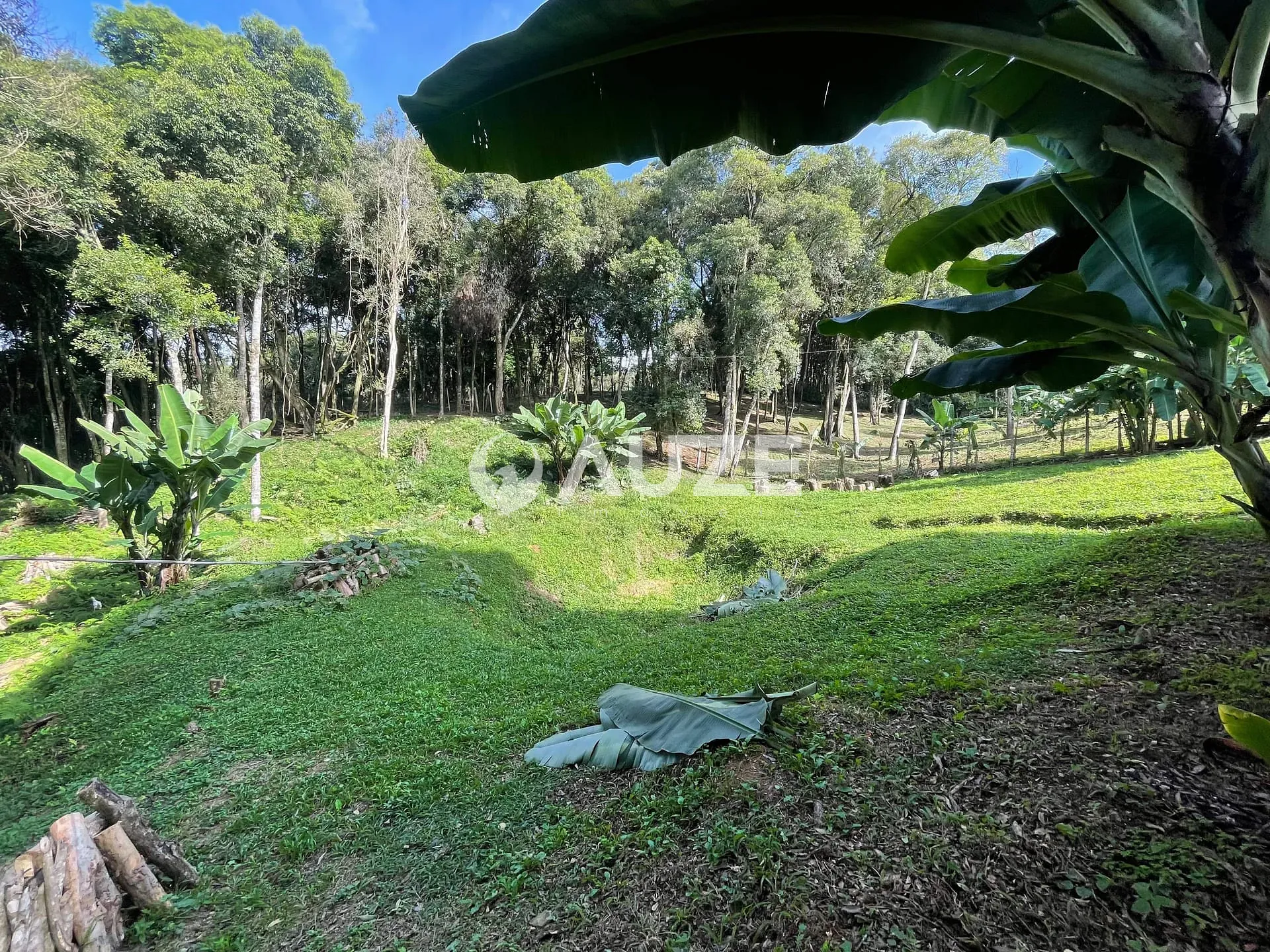 Chácara, 3 quartos, 4453 m² - Foto 7