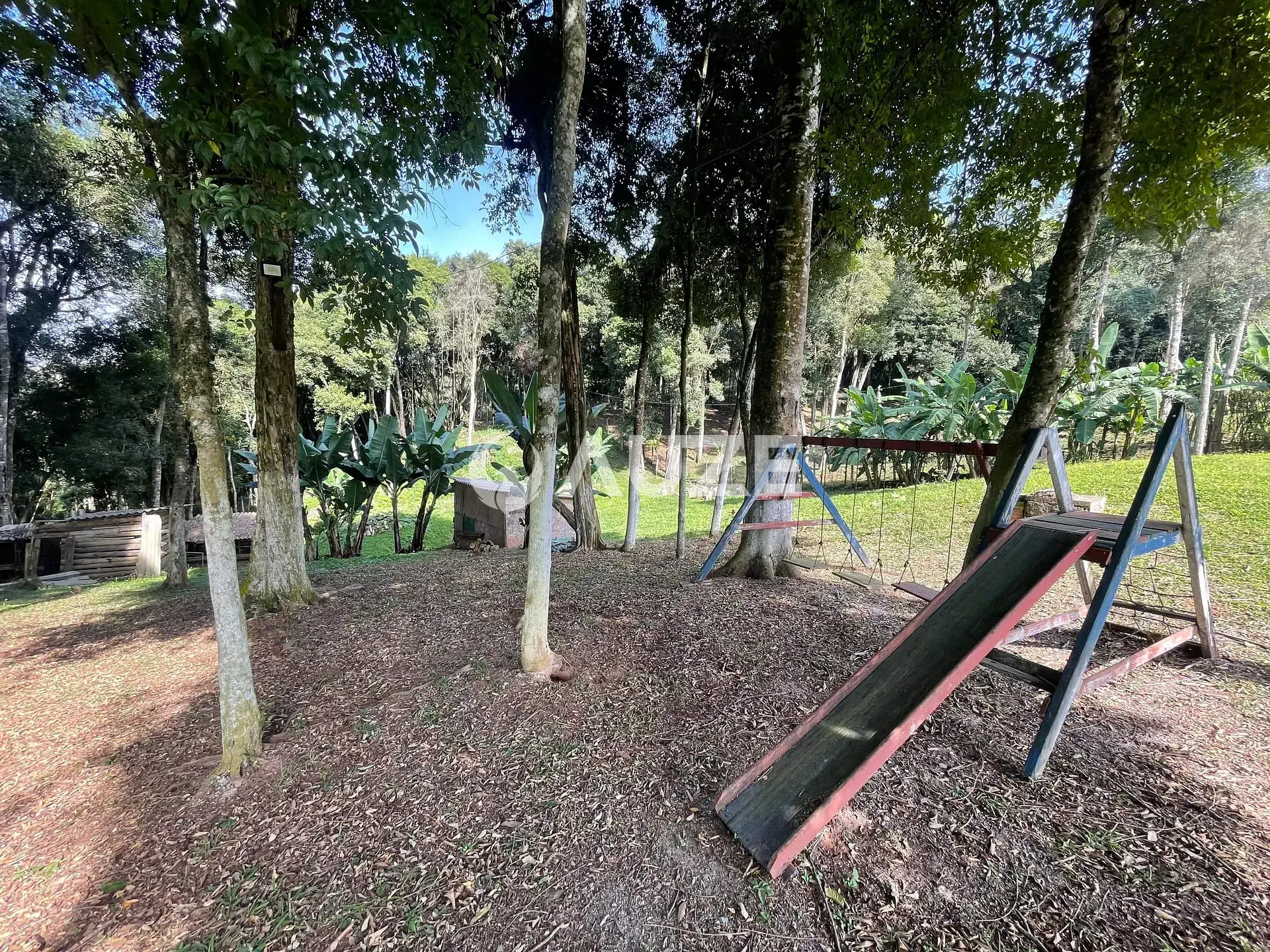 Chácara, 3 quartos, 4453 m² - Foto 8