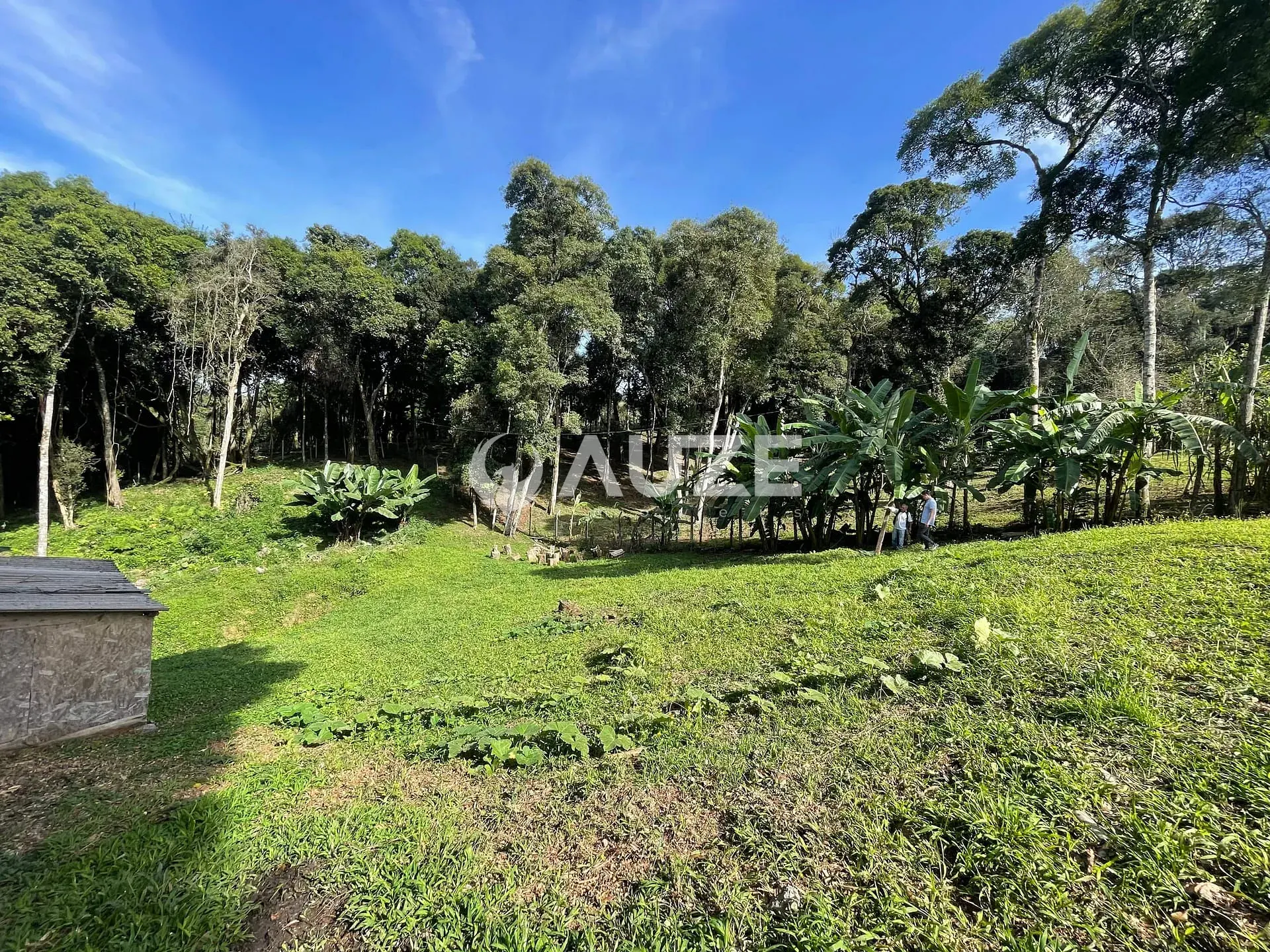 Chácara, 3 quartos, 4453 m² - Foto 9