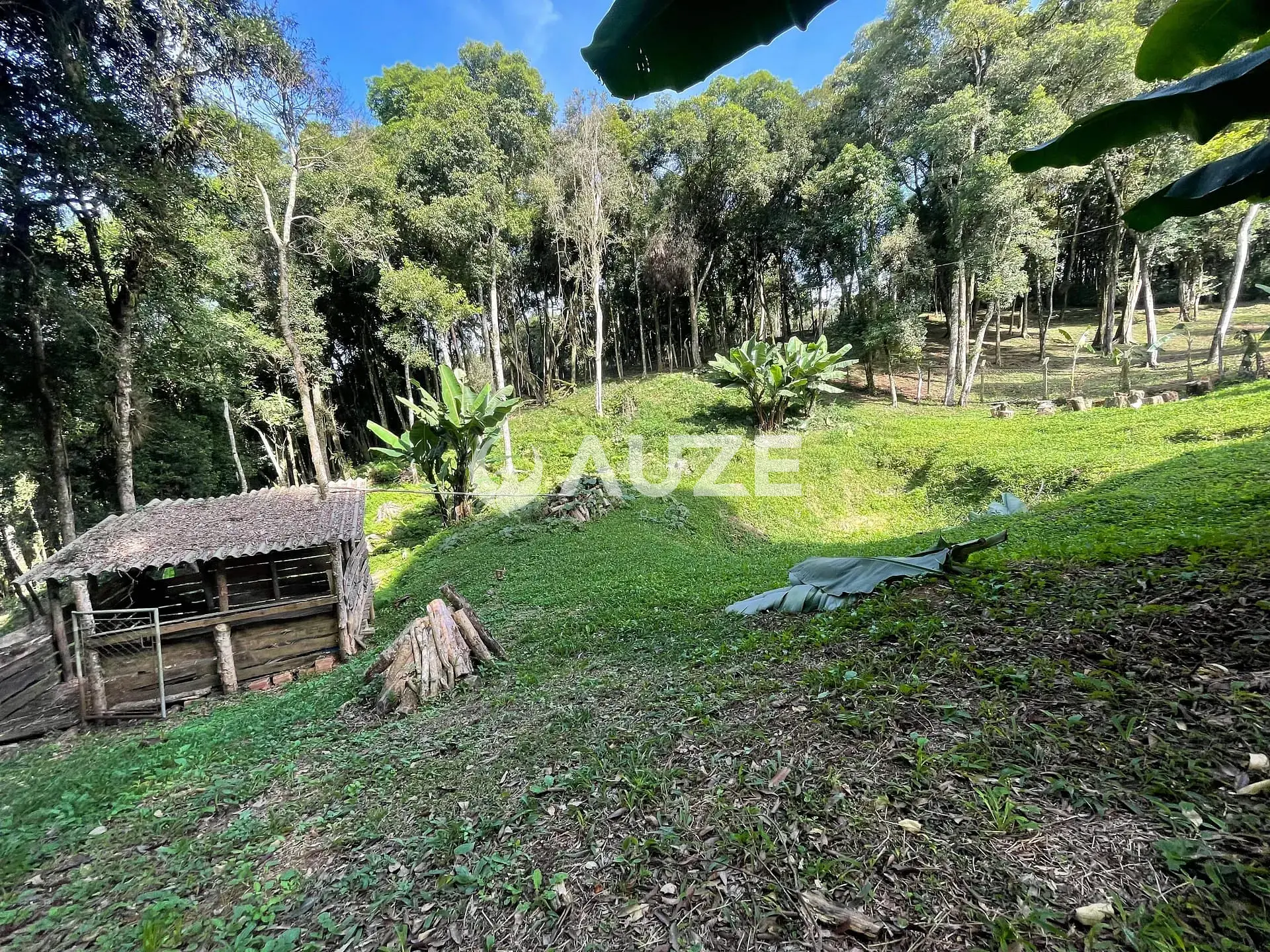 Chácara, 3 quartos, 4453 m² - Foto 10