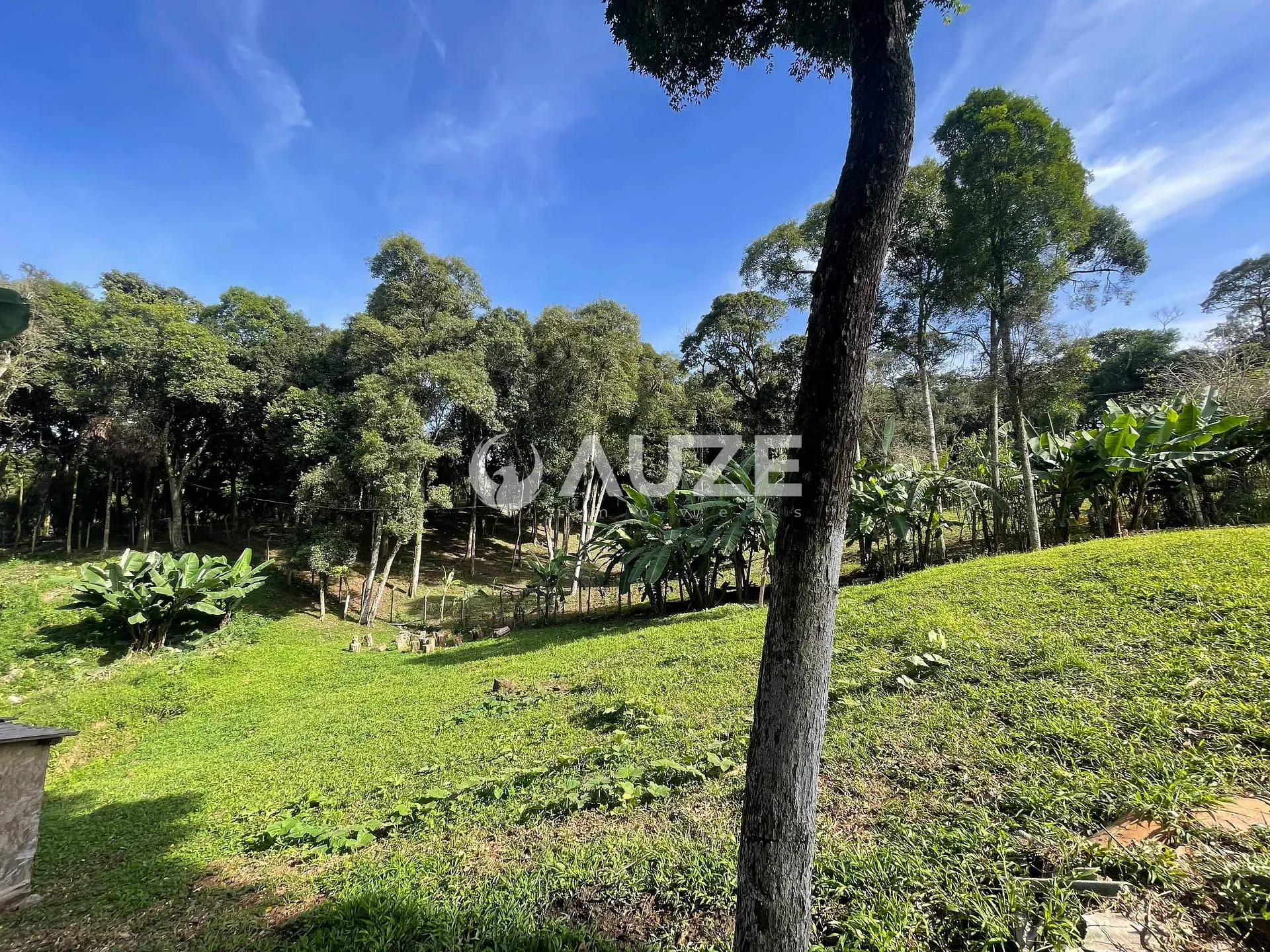 Chácara, 3 quartos, 4453 m² - Foto 12