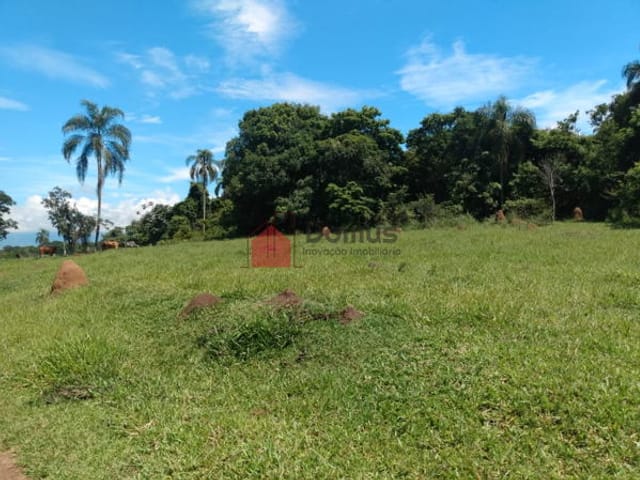 Chácara com 145200m², à venda, no bairro Parque Lago Azul em Pindamonhangaba