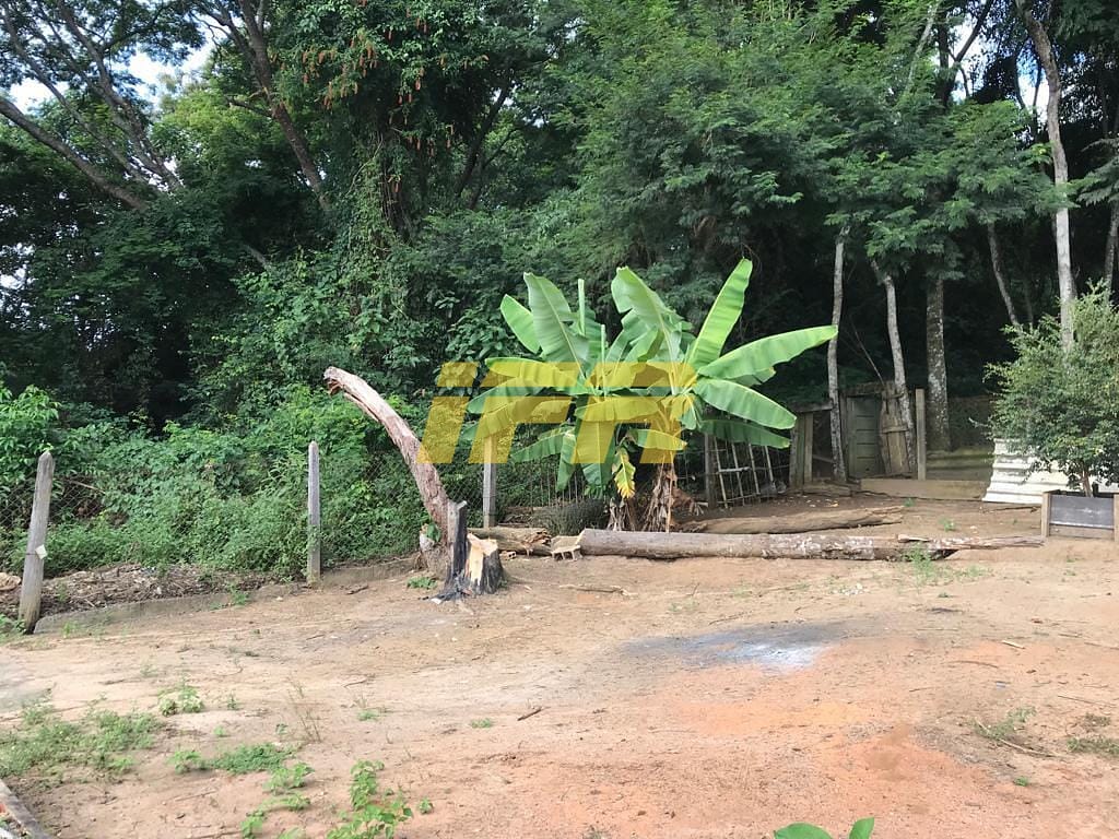 Chácara, 3 quartos, 2398 m² - Foto 15