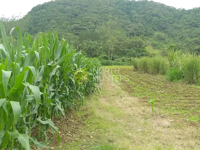 Chácara com 30000m² 1 quarto e 1 banheiro, à venda, no bairro Schroeder  I em Schroeder