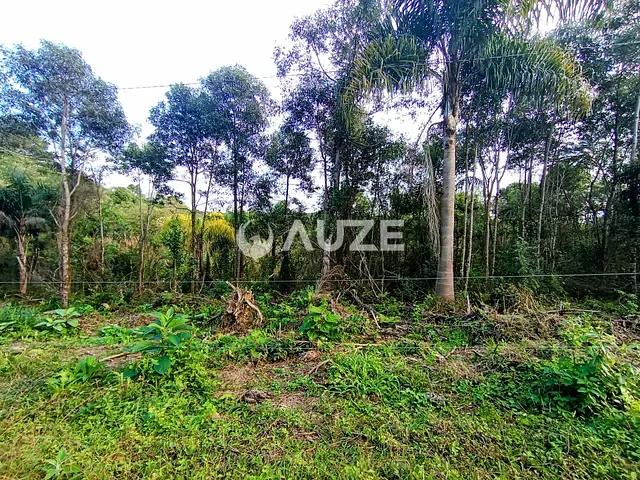 Chácara com 20306m², à venda, no bairro Colônia Murici em São José dos Pinhais