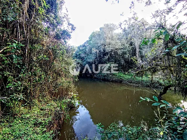 Chácara com 20306m², à venda, no bairro Colônia Murici em São José dos Pinhais