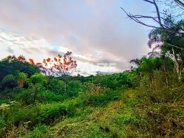 Chácara com 20306m², à venda, no bairro Colônia Murici em São José dos Pinhais