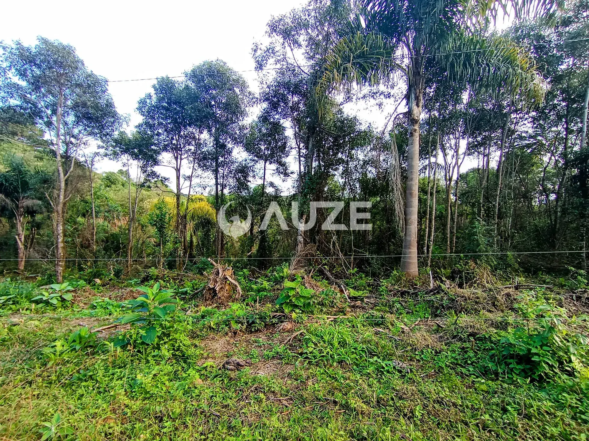 Chácara, 1 quarto, 2 hectares - Foto 3