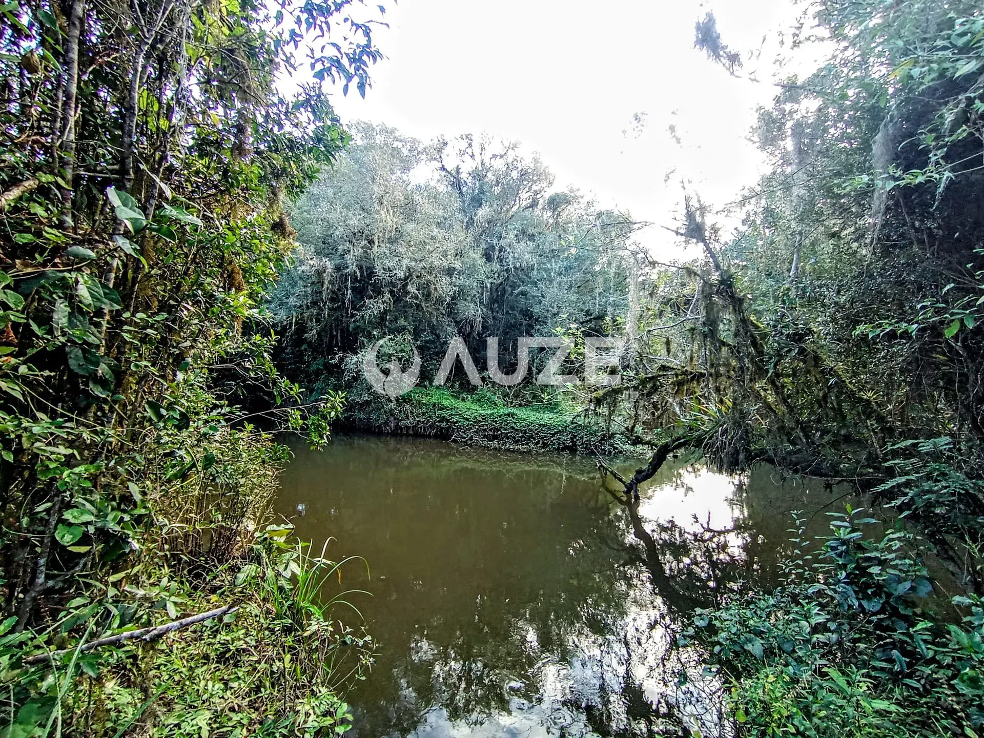 Chácara, 1 quarto, 2 hectares - Foto 4