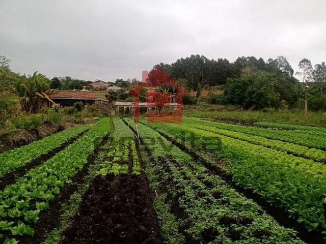 Foto do Chácara - Chácara para Venda em Taubaté / SP no bairro Barreiro | Previta Imóveis
