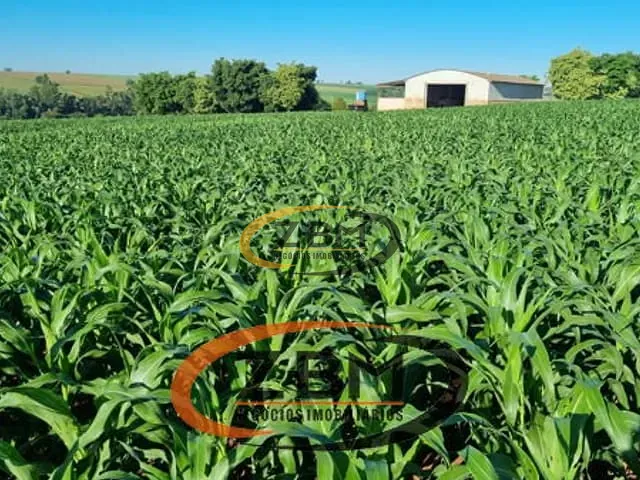 Fazenda com 242000m², à venda, no bairro Centro em Atalaia