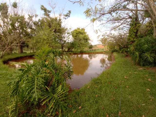 Chácara com 20200m² 3 quartos e 2 banheiros, à venda, no bairro Rodovia em São João da Boa Vista