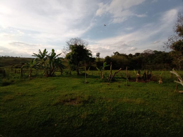 Chácara com 20200m² 3 quartos e 2 banheiros, à venda, no bairro Rodovia em São João da Boa Vista