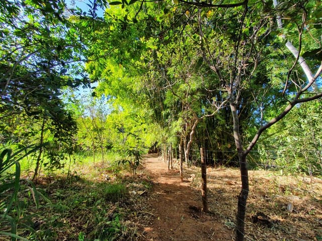 Chácara à venda, Villar Baviera, Abadia de Goiás, GO