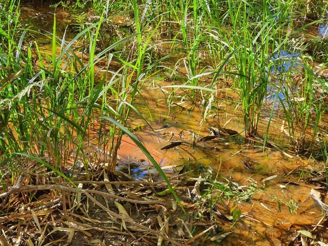 Chácara à venda, Villar Baviera, Abadia de Goiás, GO