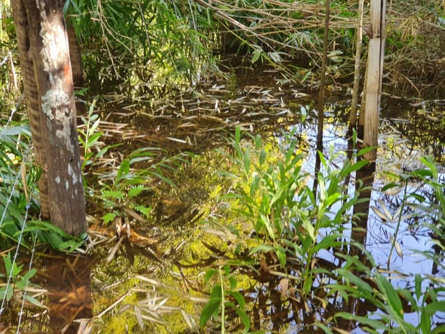 Chácara à venda, Villar Baviera, Abadia de Goiás, GO
