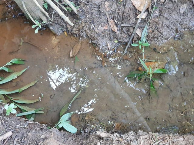 Chácara à venda, Villar Baviera, Abadia de Goiás, GO