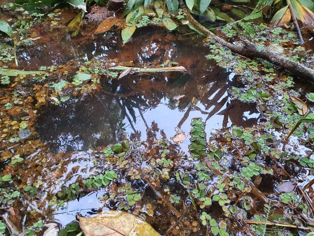 Chácara à venda, Villar Baviera, Abadia de Goiás, GO