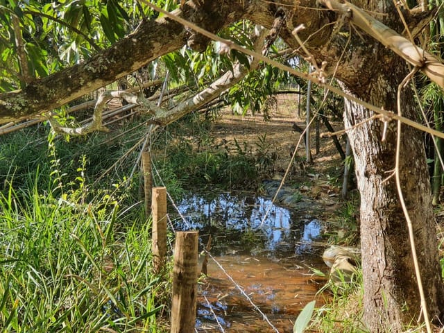 Chácara à venda, Villar Baviera, Abadia de Goiás, GO