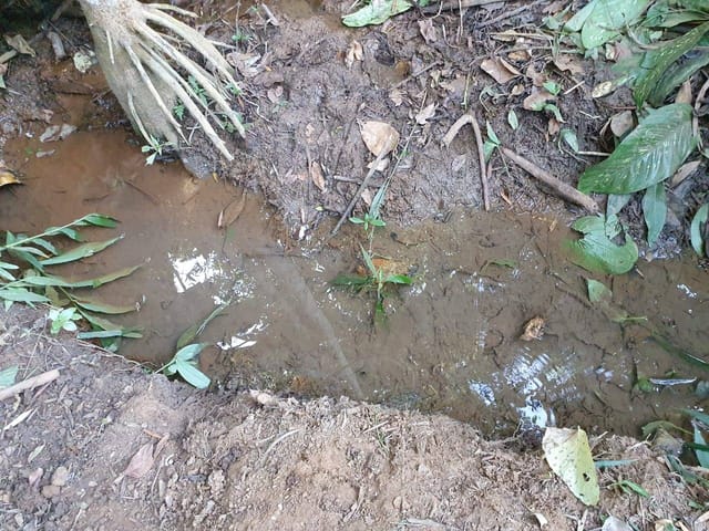 Chácara à venda, Villar Baviera, Abadia de Goiás, GO