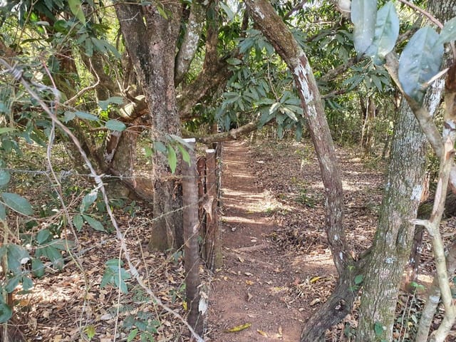 Chácara à venda, Villar Baviera, Abadia de Goiás, GO
